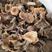 野生干松树菌，松毛菌，丛树菇统货干品一手货源，常年有货