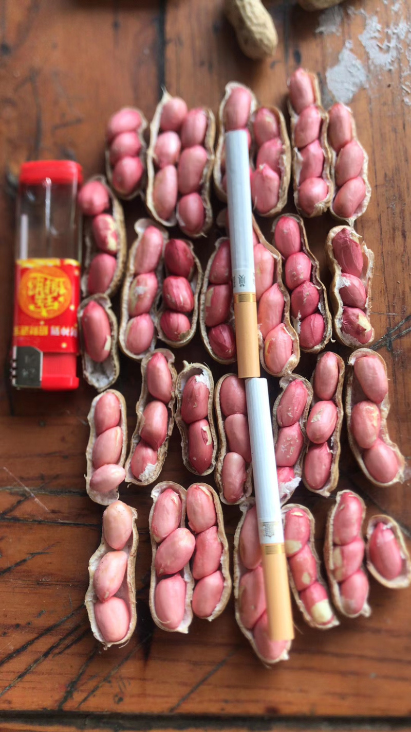 小白沙，四粒红鲜花生