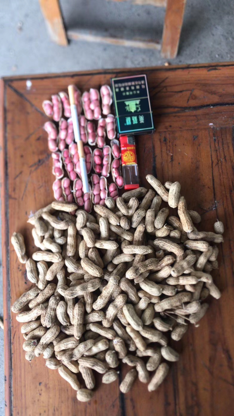 小白沙，四粒红鲜花生