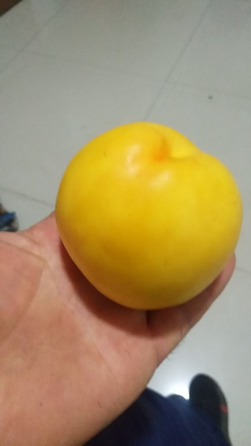 黄油桃脆甜可口，喜欢你就来