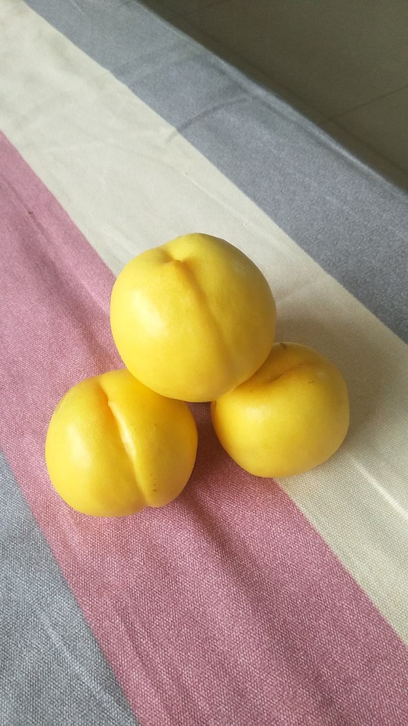 黄油桃脆甜可口，喜欢你就来