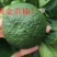 春香柑橘苗（黄金贡柚）/树人农林基地直发/保湿发货
