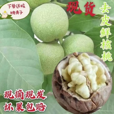 新鲜核桃，自然成熟，口感纯香！全国发货，始终如一坚持品质