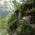 红豆石橄榄来自大山里的野生货哦！吃了身体好。诚信为本。好