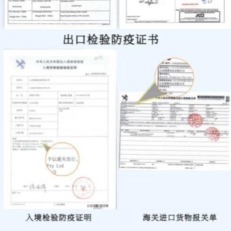 一手货源熟冻帝王蟹酒店直供
