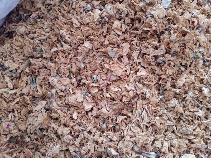 白残花，精品白残花，质量上乘欢迎选购！