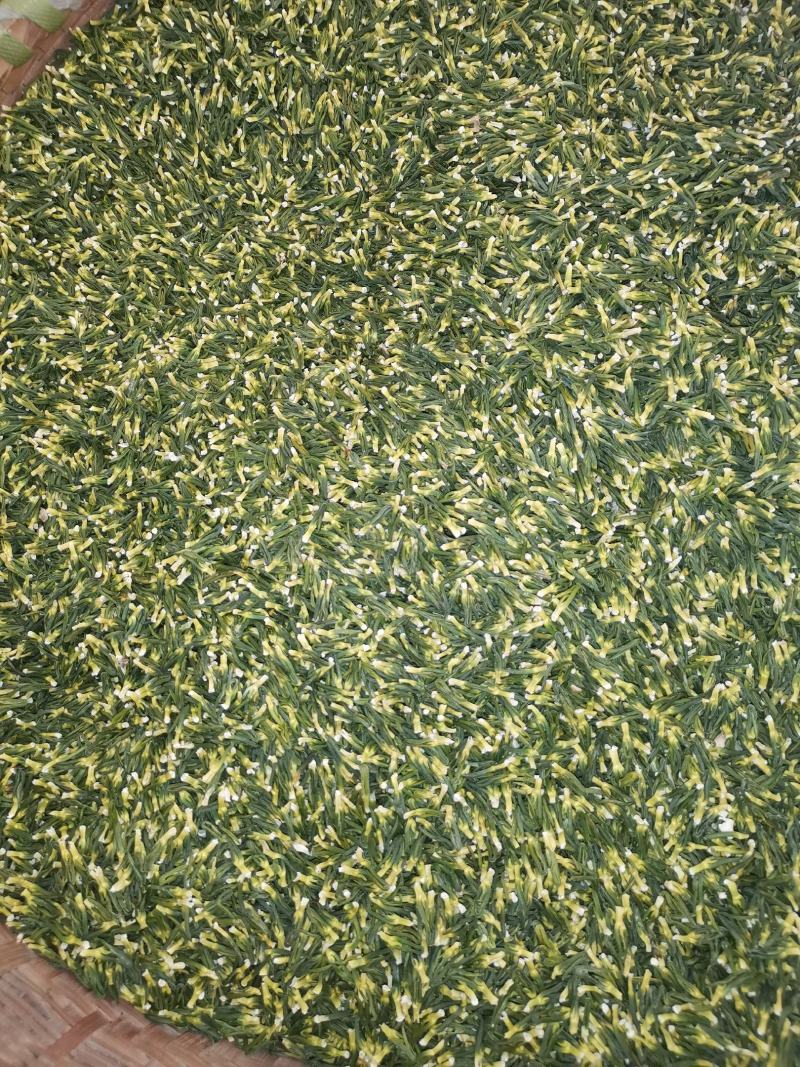 江西广昌莲子芯产地直销