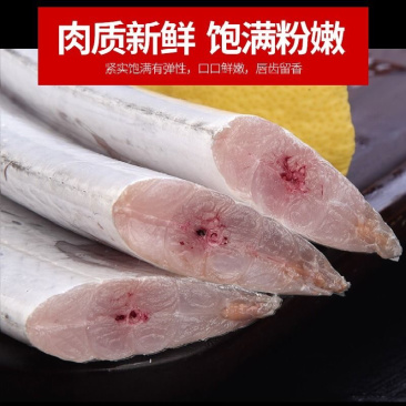带鱼本地带鱼钓带船冻带鱼新鲜速冻发货