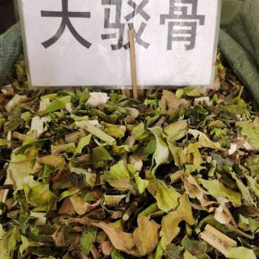 大驳骨新货颜色青一手货源充足