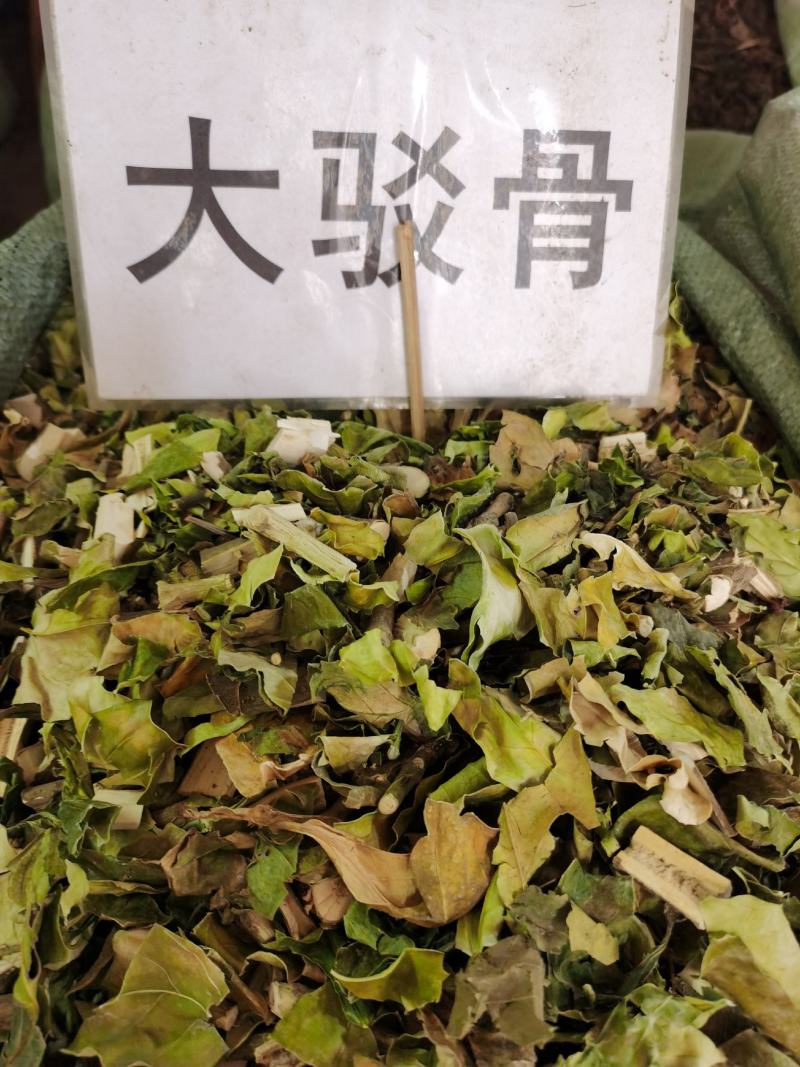 大驳骨新货颜色青一手货源充足