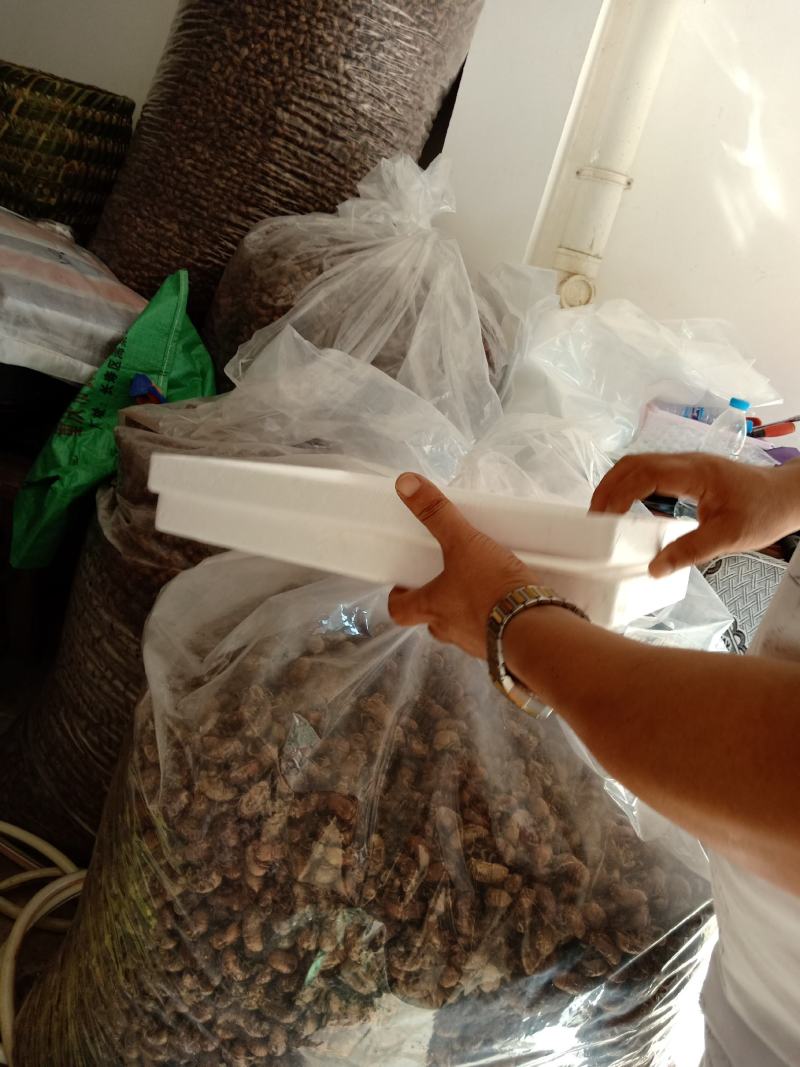 蝉蜕土货，竹林货都有，喜欢的老板联系我大货