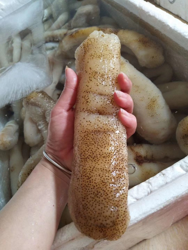 大赤靓货口感佳酒席酒店专供