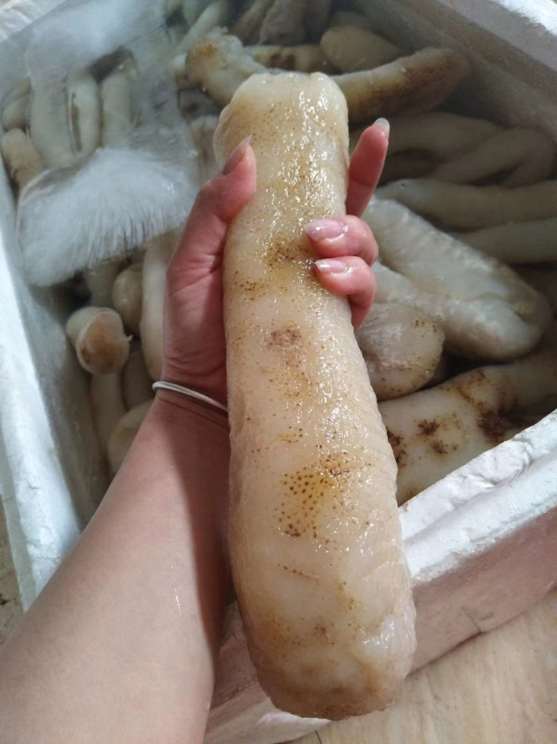 大赤靓货口感佳酒席酒店专供