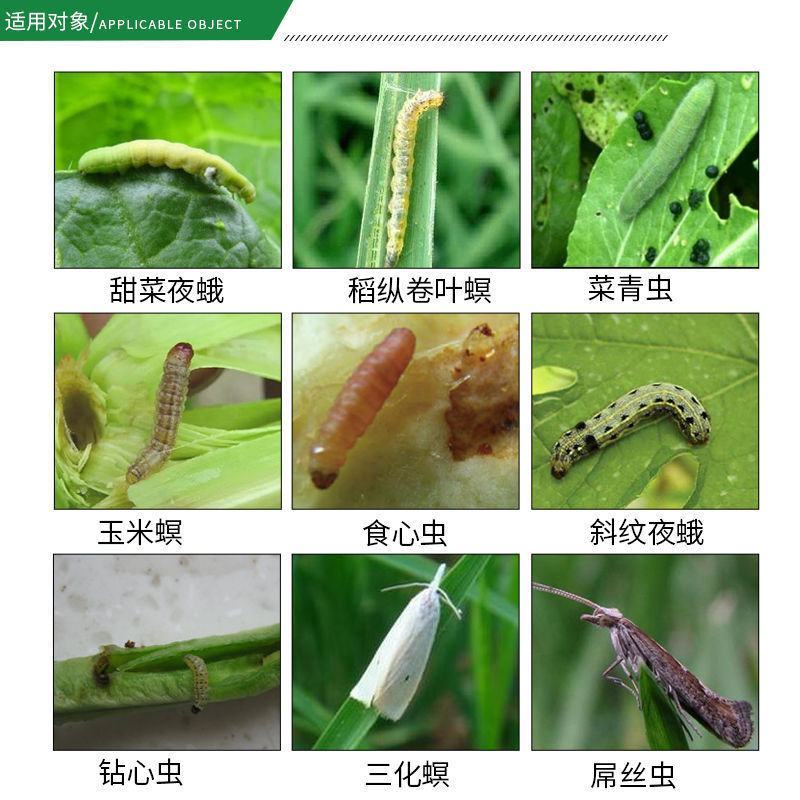 20%氟铃脲辛硫磷水稻农药杀虫剂钻心卷叶虫草地贪叶蛾
