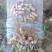 新年干花生，富硒色彩花生，花冠花生，水果花生，6斤包邮