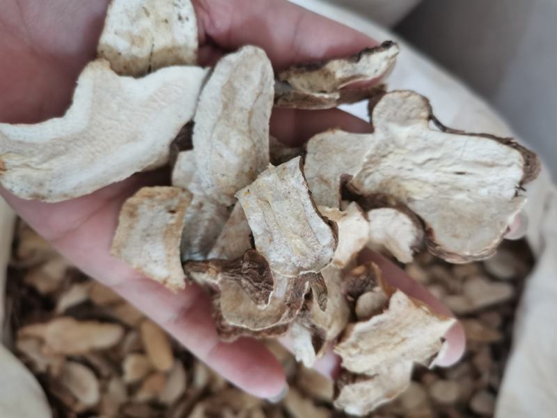白术河北地产实心干品批发零售一公斤起发货