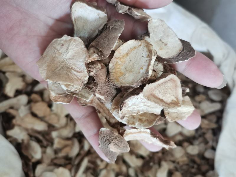 白术河北地产实心干品批发零售一公斤起发货