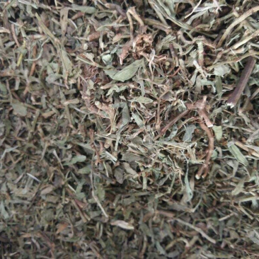 扁蓄萹蓄草地萹蓄牛鞭草111扁蓄