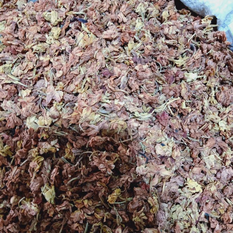 药材罗汉果花有大量货源欢迎选购