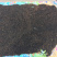 新鲜花椒，特色花椒，医药用，食用！