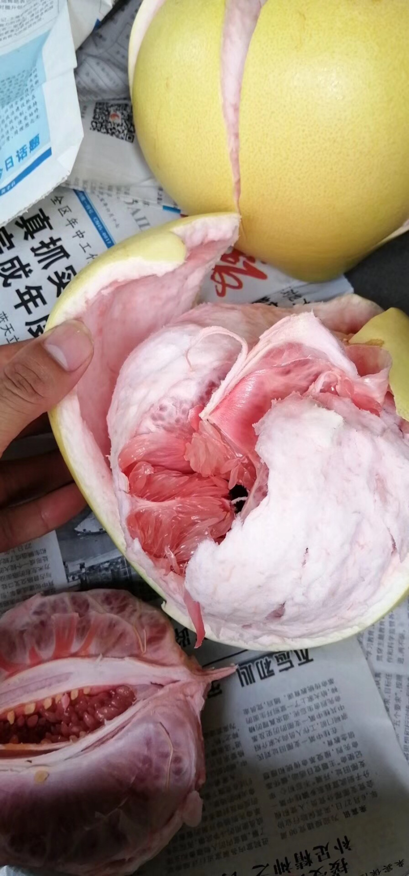 三红蜜柚大基地大量上市，一个圆子一百多万斤
