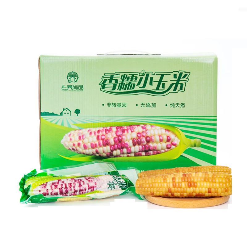 云养尚品香糯小玉米4斤礼盒装云南特产西双版纳紫香糯新