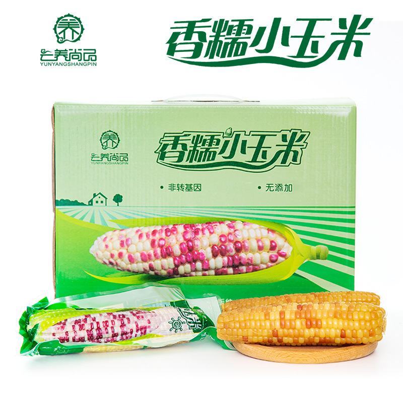 云养尚品香糯小玉米4斤礼盒装云南特产西双版纳紫香糯新