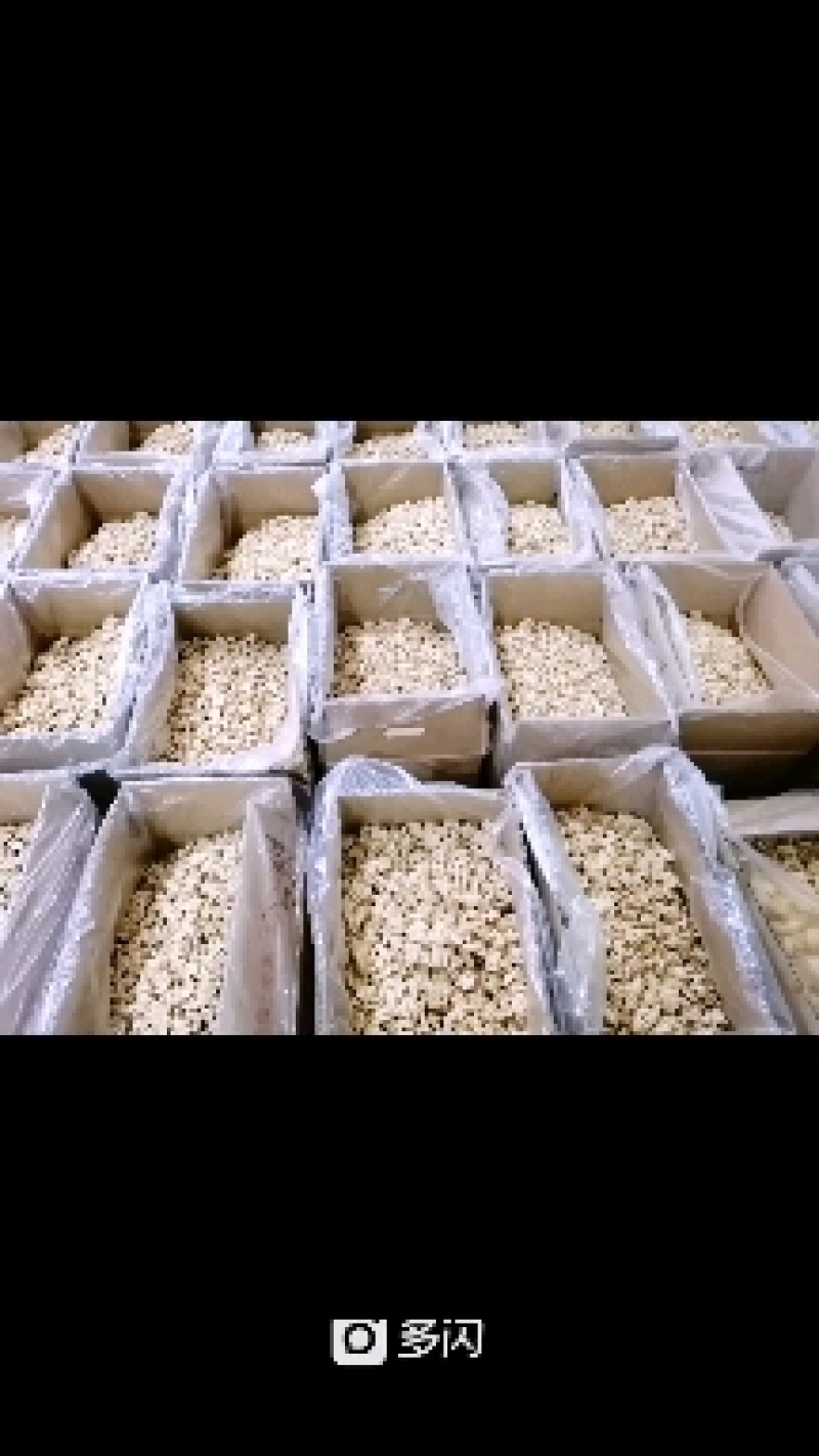 脱衣核桃仁（分路分级）