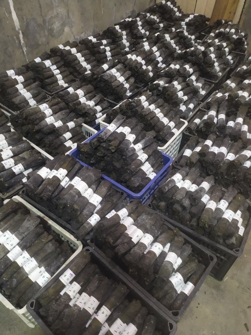 【优质海带卷】超市专用，产地直销厂家直销全是精品