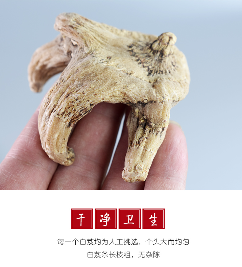 中药材批发供应白芨白芨个三叉白芨白芨片优质白芨