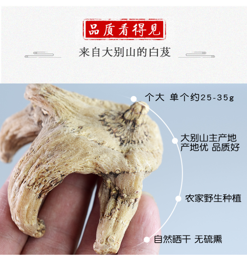 中药材批发供应白芨白芨个三叉白芨白芨片优质白芨