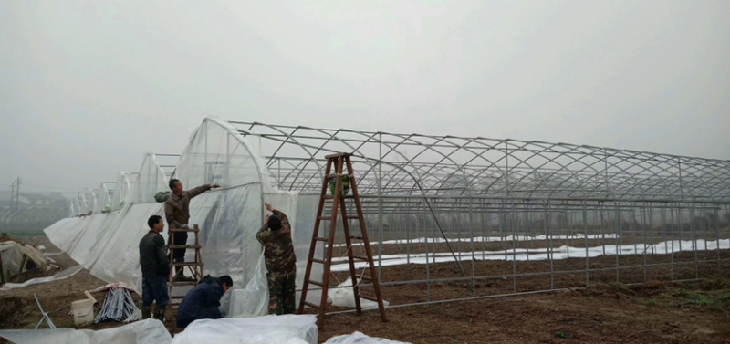 厂家定制温室大棚，用于养殖基地，蔬菜水果种植，