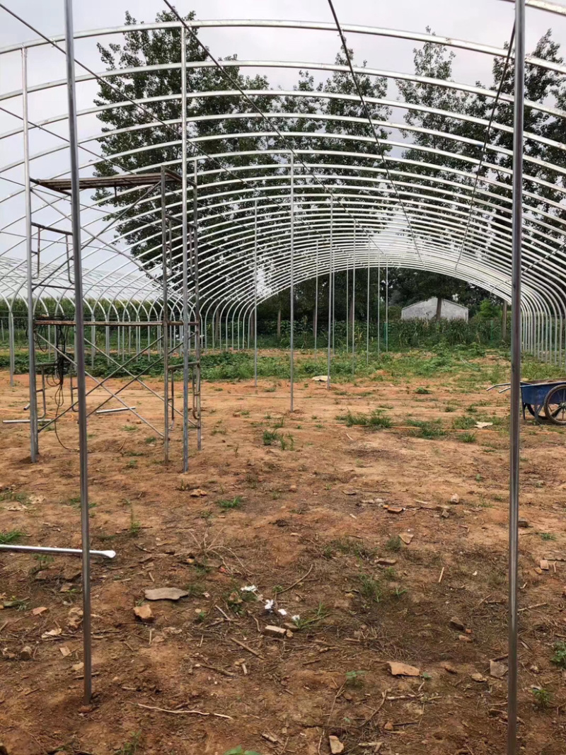 厂家定制温室大棚，用于养殖基地，蔬菜水果种植，