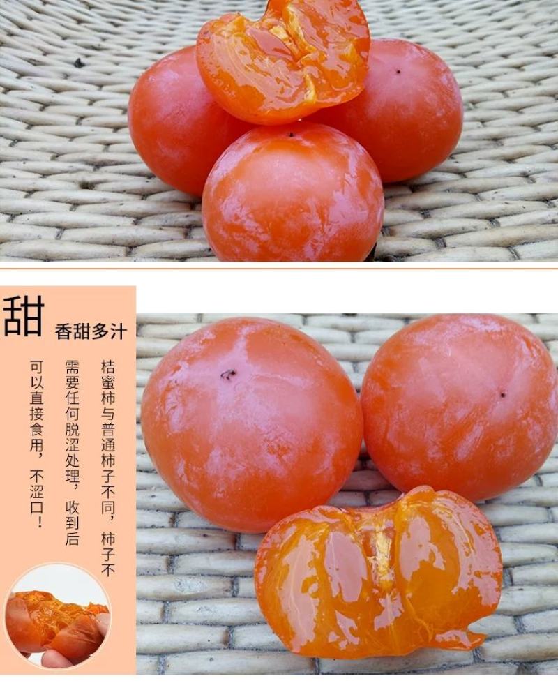 山西新鲜7月黄柿子爆甜水果蜜柿应季蜜罐软柿子甜火晶柿子
