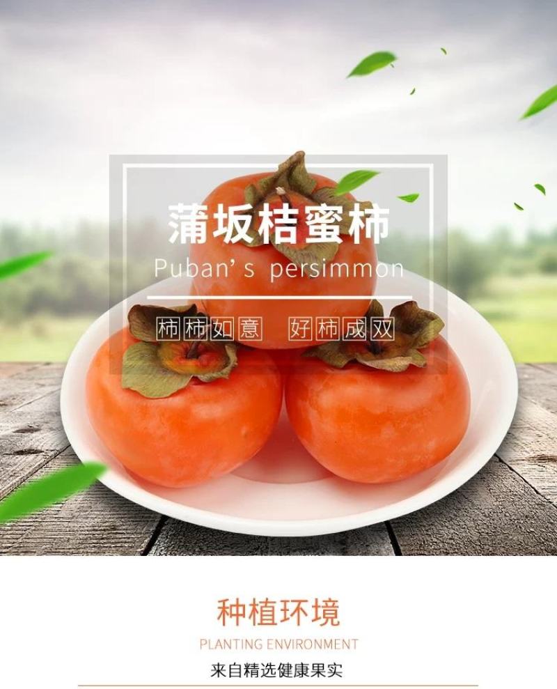 山西新鲜7月黄柿子爆甜水果蜜柿应季蜜罐软柿子甜火晶柿子