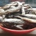 小鱼干油炸刁子鱼麦穗鱼油炸小鲫鱼直销