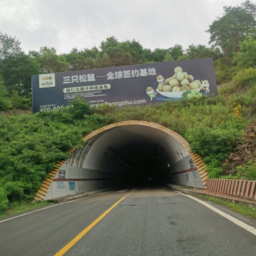 平欧大果榛子特级！！！！！！！！！！！！