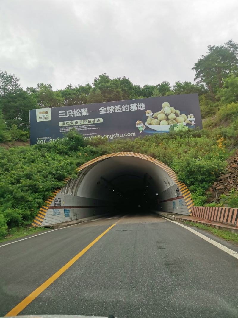 平欧大果榛子特级！！！！！！！！！！！！
