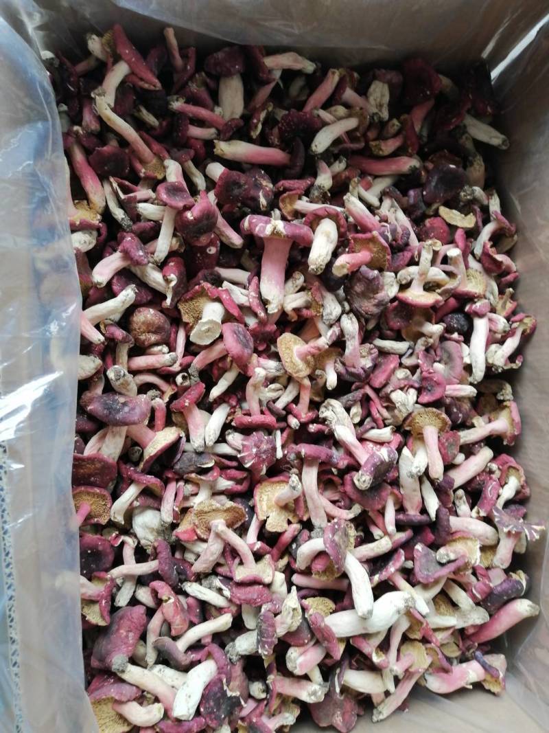 红菇干货500克实体店红蘑菇烤干的菇质量好批发价