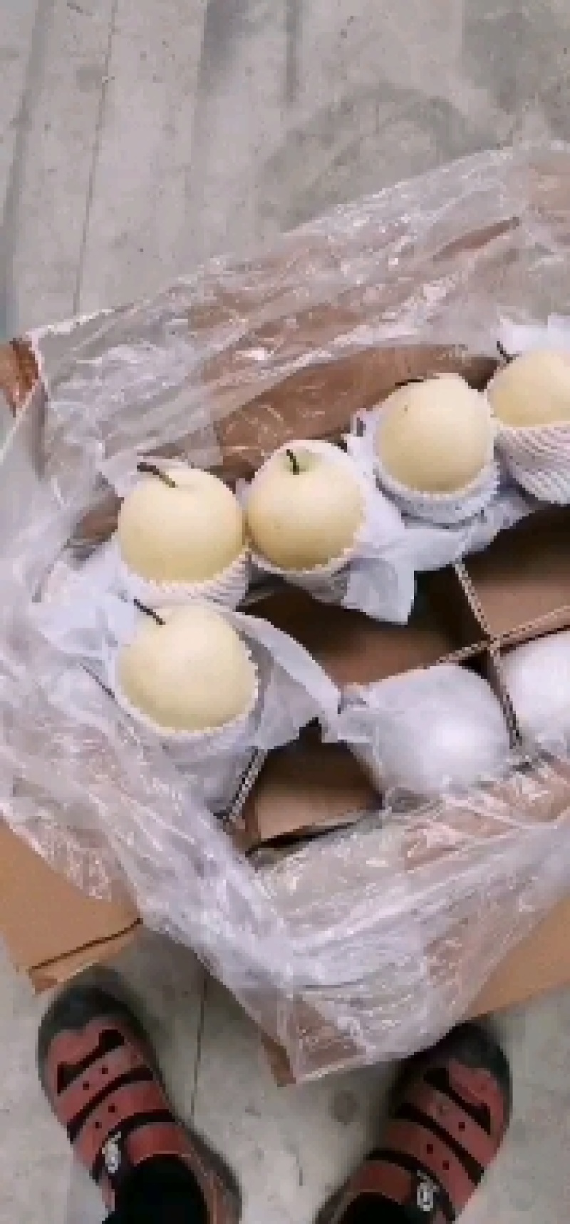 冷库皇冠梨，销售难，助农销售，特价销售，低价处理