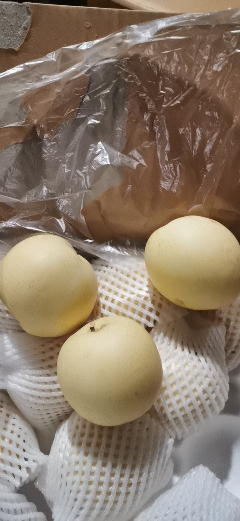 冷库皇冠梨，销售难，助农销售，特价销售，低价处理