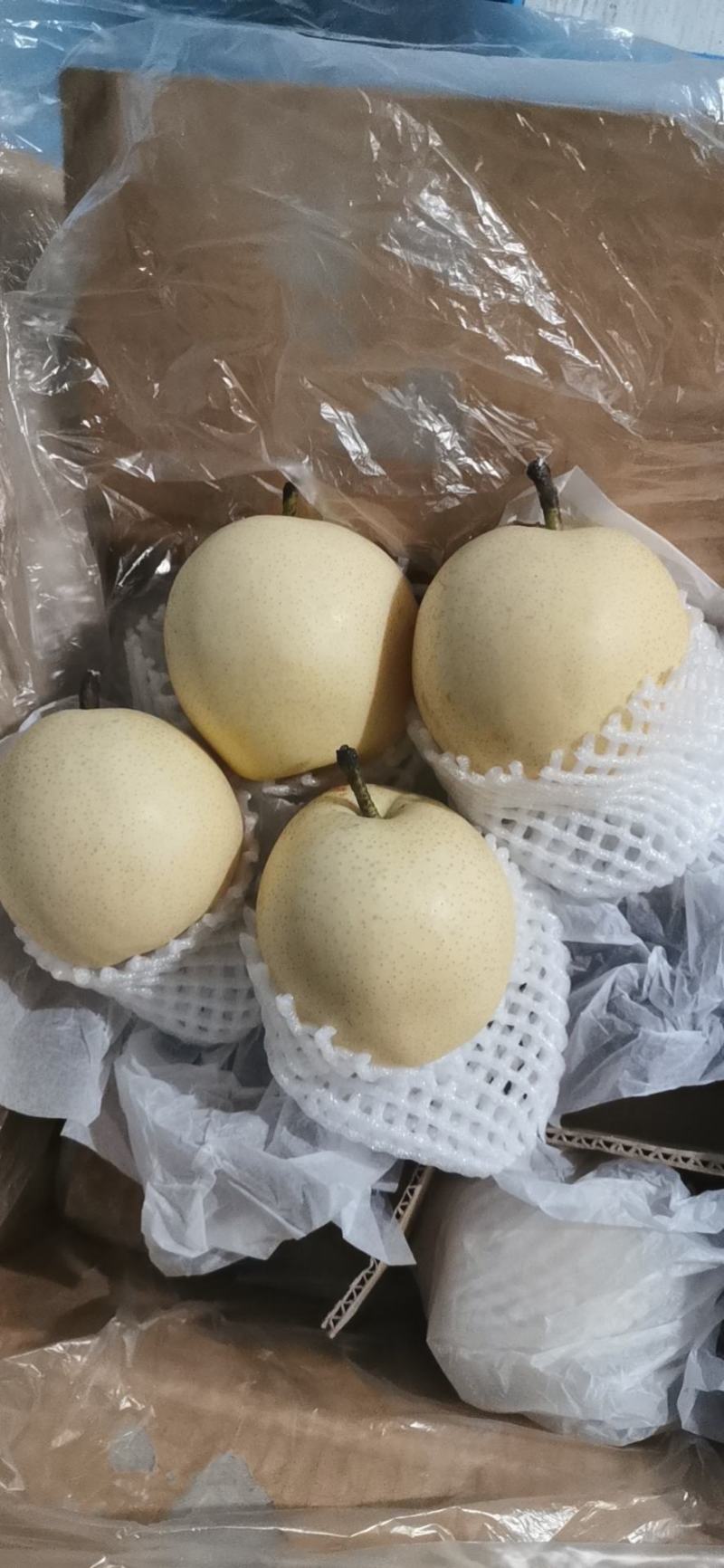 冷库皇冠梨，销售难，助农销售，特价销售，低价处理