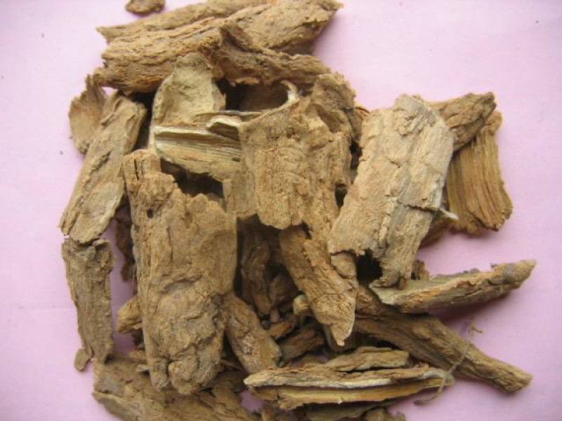 椿皮臭椿批椿白皮干货5斤批农家初选农副产品