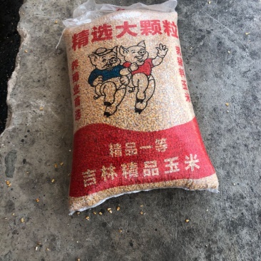 玉米干粮，现货供应，质量有保障。