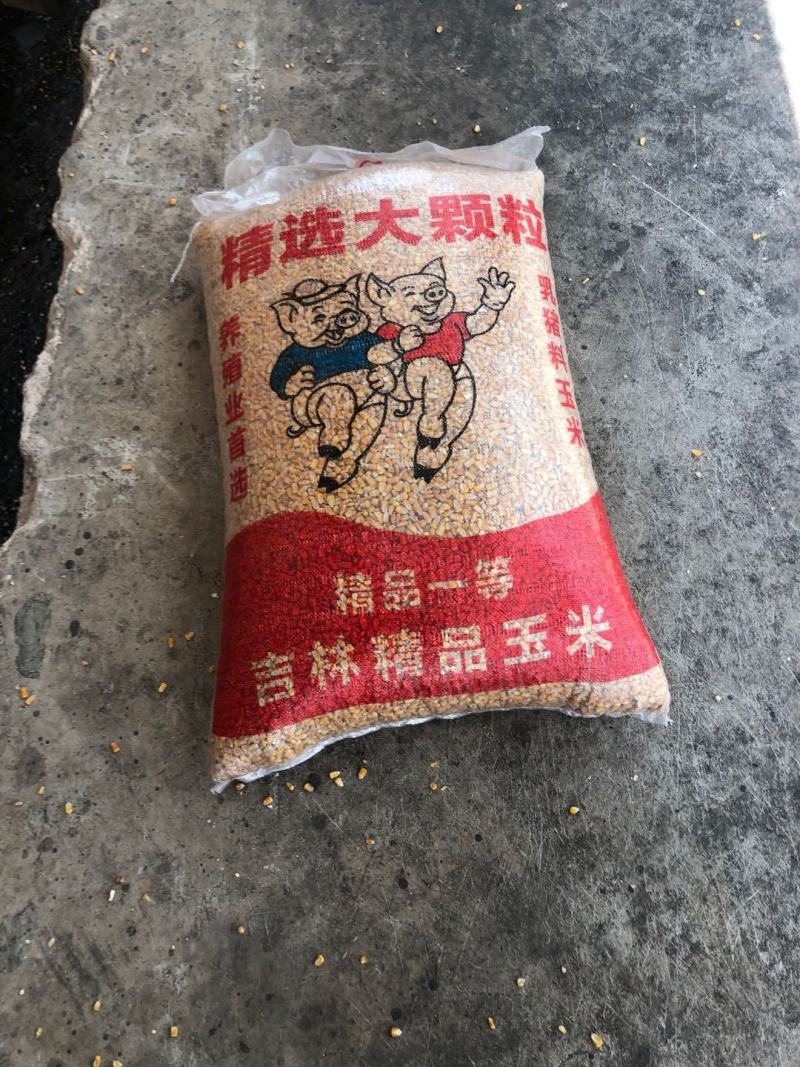玉米干粮，现货供应，质量有保障。