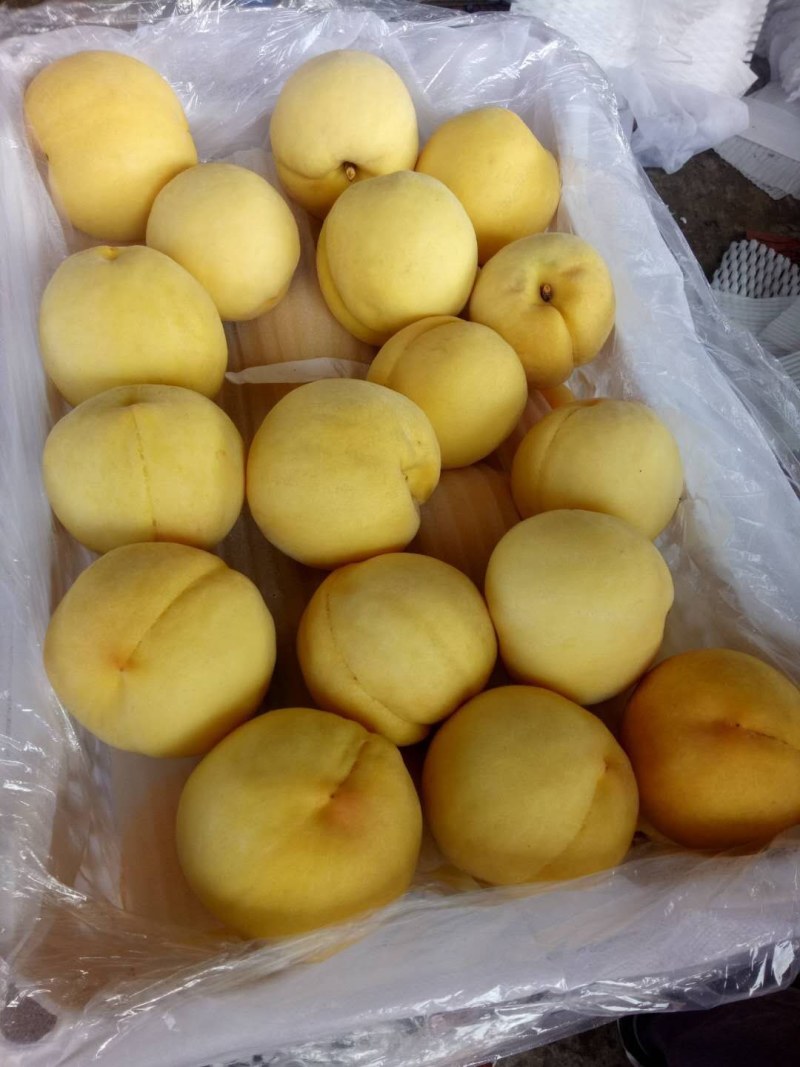 【精品黄桃】加工厂*电商*市场*产地代发*品种齐全