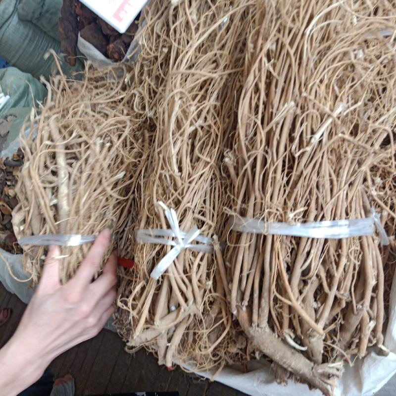石参根三年的根货质量好，欢迎选购。