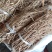 石参根三年的根货质量好，欢迎选购。