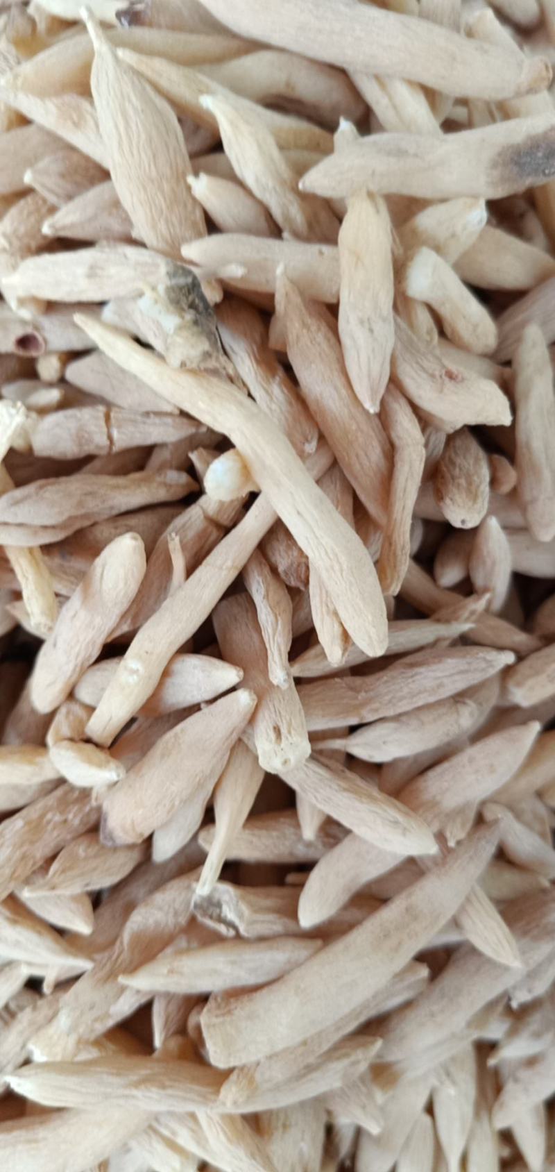 麦冬有大量货源，产地直销
