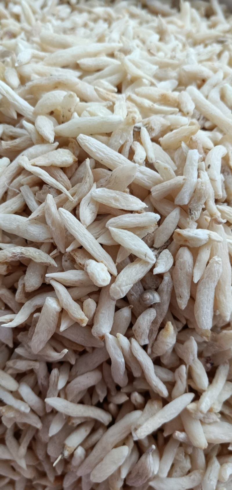 麦冬有大量货源，产地直销